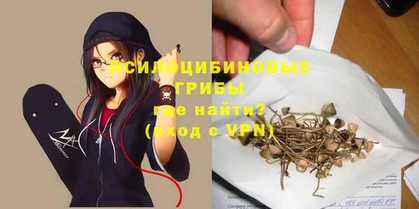 стаф Балахна
