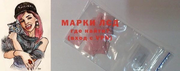 стаф Балахна