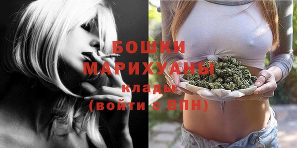 стаф Балахна