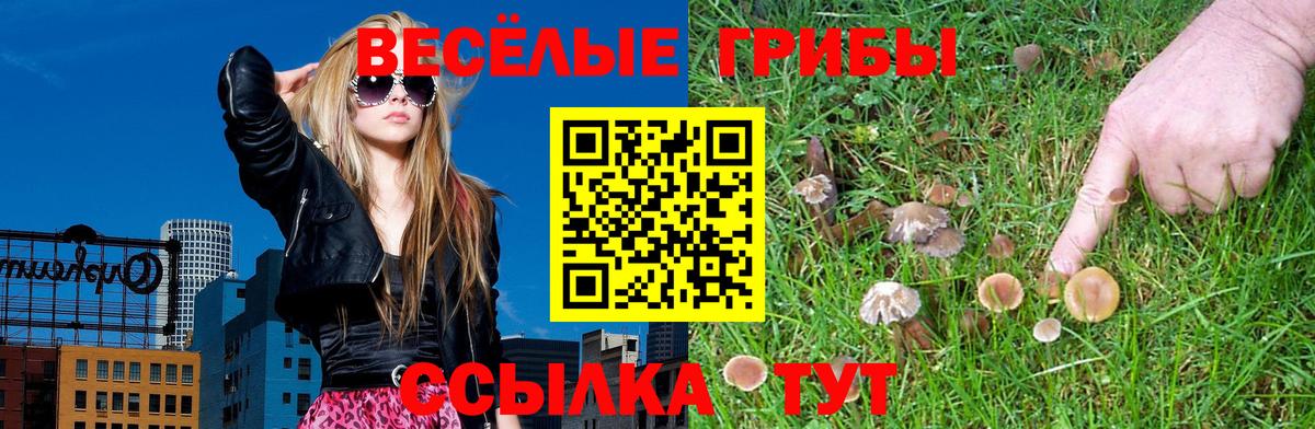 Галлюциногенные грибы ЛСД Вольск