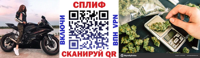 Бошки марихуана индика  закладки  Вольск 
